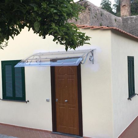 La Finestra Sul Giardino Apartment Ischia Bagian luar foto
