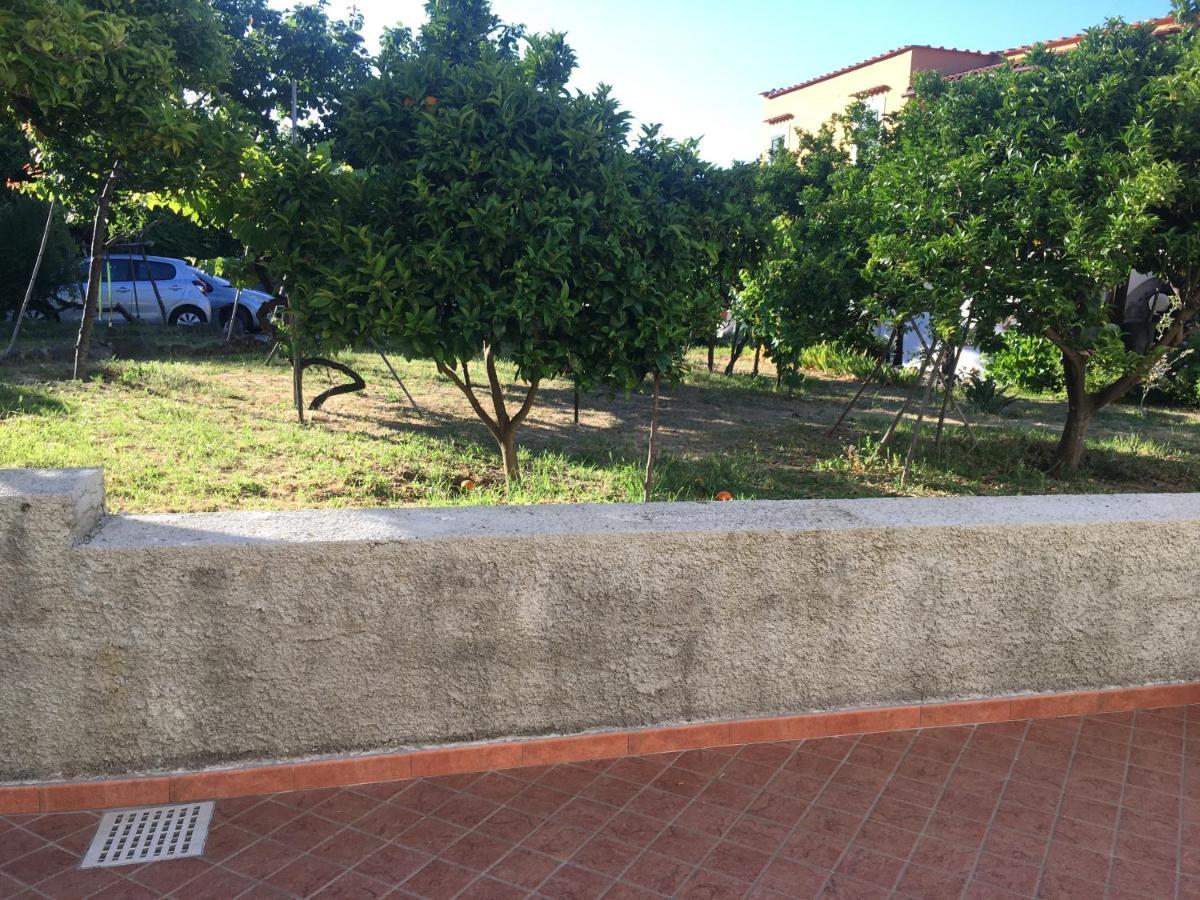 La Finestra Sul Giardino Apartment Ischia Bagian luar foto